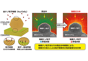 触媒ナノ粒子の電荷のゆらぎを捉える～その場観察が切り拓くナノ材料・デバイス研究の新次元～