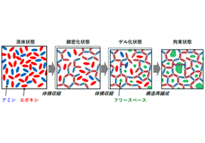 接着剤は固まった後も内部で動いていた−ゲル化後の構造再編成を発見～自動車や航空機の軽量化を支える新規接着技術への応用に期待～