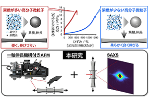 水平リサイクル可能なゴムの丈夫さの秘密を解明～リサイクル後も高性能を維持する高分子材料設計へ知見提供～