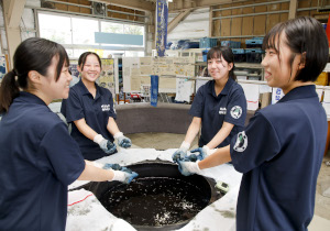 ウェブマガジン「Science Window」最新記事「日本や世界で受け継がれてきた藍染め【今に息づく 和の伝統】」公開