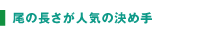 尾の長さが人気の決め手