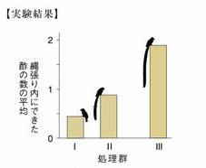 実験結果