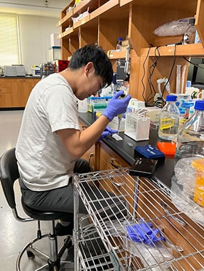 iCeMS研究棟実験室にて生化学分析実験を行う吉村さん