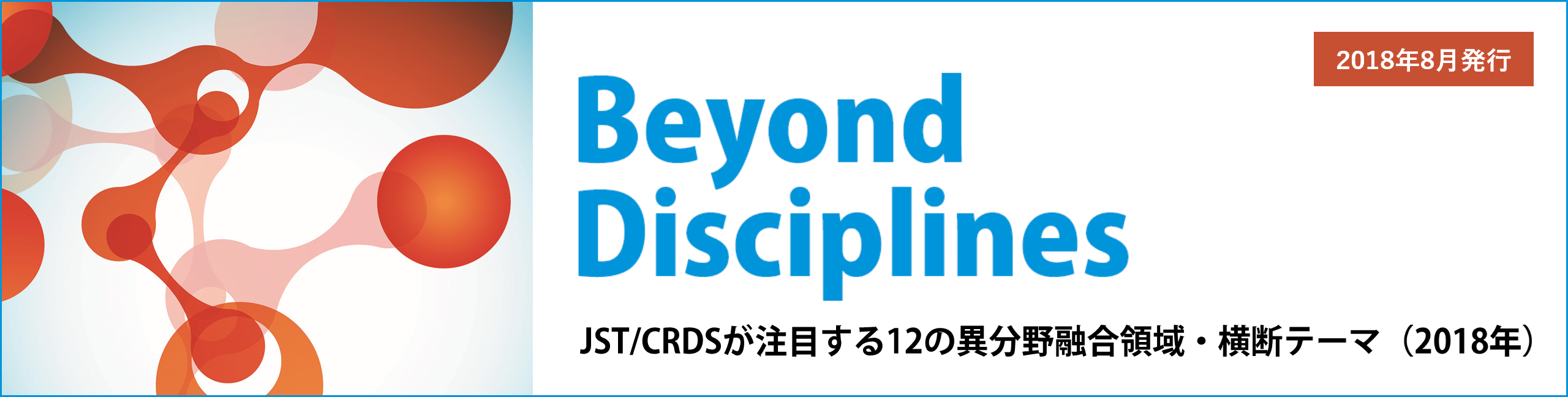 Beyond Disciplines