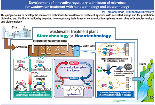 Development of Innovative Regulatory Techniques of Microbes for Wastewater Treatment with Nanotechnology and Biotechnology
