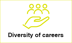 Diversity of careers