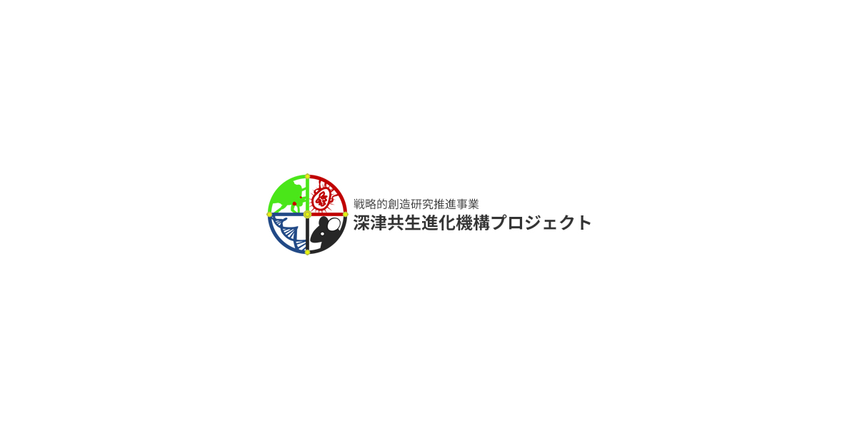 First Stage 土質力学概論 (First Stageシリーズ) | 岡 二三生