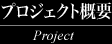 プロジェクト概要 Project