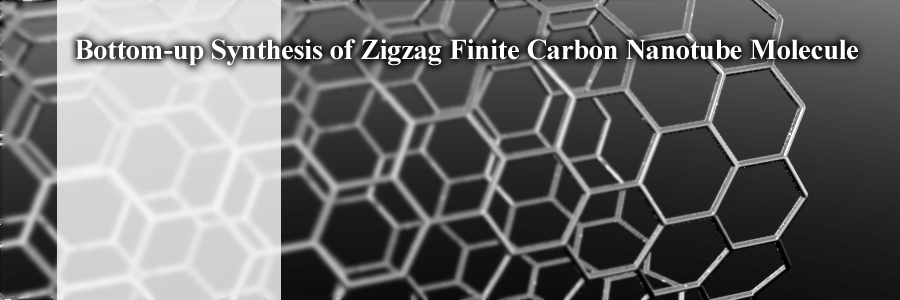 Bottom-up Synthesis of Zigzag Finite Carbon Nanotube Molecule