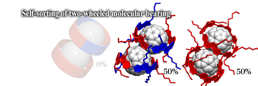 Self-sorting of two-wheeled molecular bearing