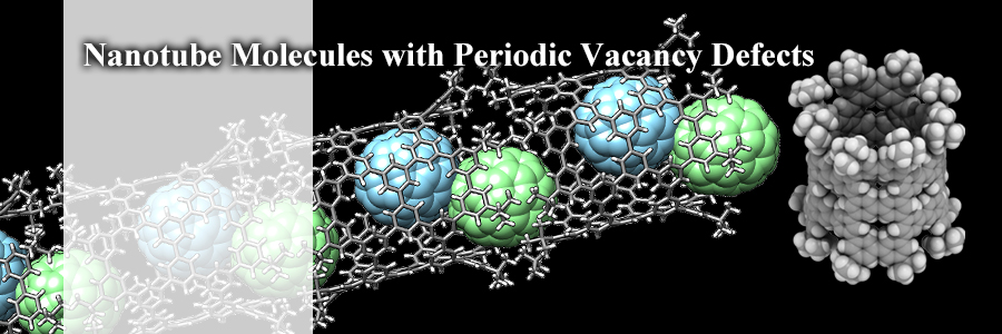 Nanotube Molecules with Periodic Vacancy Defects