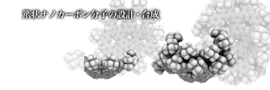 笊状ナノカーボン分子の設計・合成