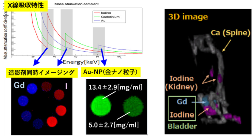 multi ct description