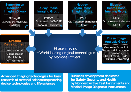 Project Organization