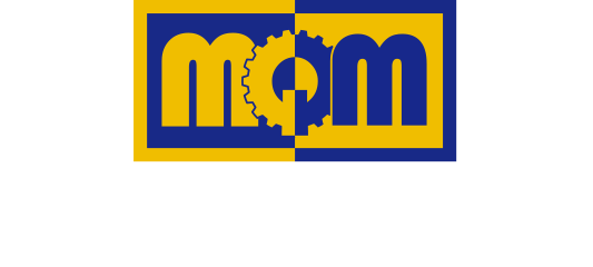 ERATO Macroscopic Quantum Machines