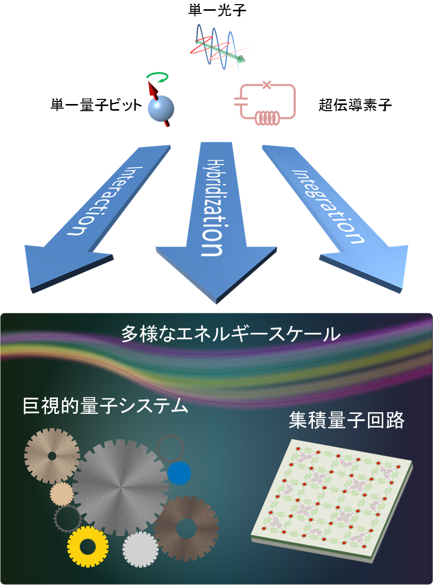 図：「巨視的」のこころ