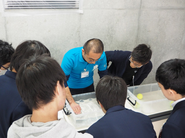 東京都練馬区立大泉中学校:写真