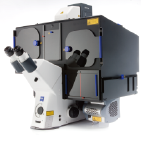 超解像顕微鏡 ELYRA 3D-PALM イメージ