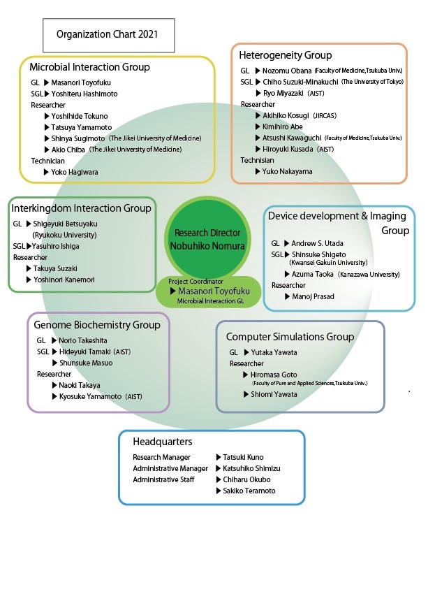 ERATO NOMURA Project Organization Chart