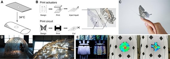 Liquid Pouch Motors. (A) 動作原理, (B, C) 印刷できるアクチュエータと回路を使った自律的なロボットの例, (D) 建築壁材への応用展示