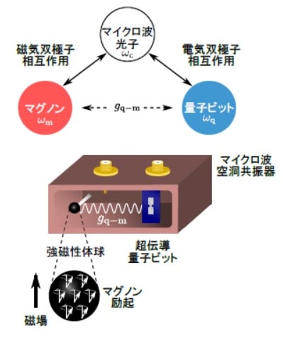 単一事象検出実験の模式図