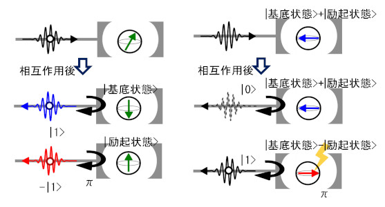 （左）量子ビット状態に依存した光子状態の位相反転。（右）光子数に依存した量子ビット状態の位相反転
