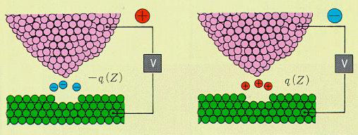 fig2