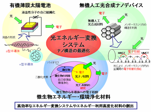 fig1