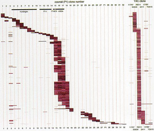 fig2