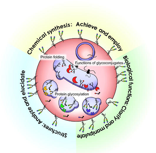 fig2