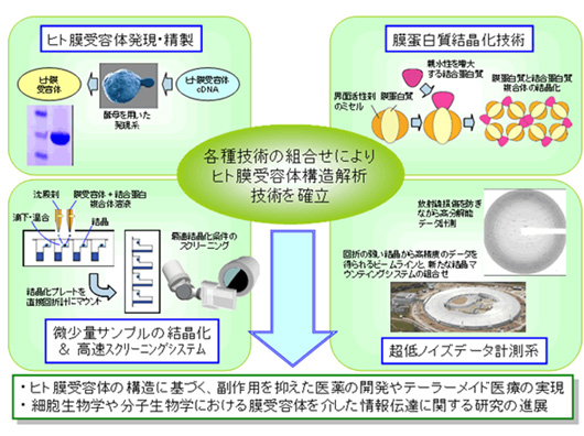 fig1