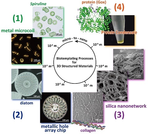 fig3