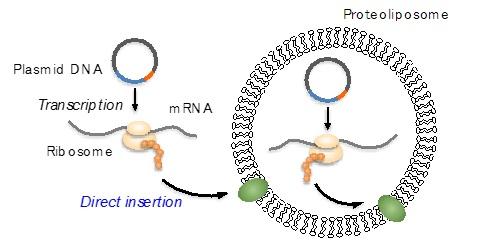 fig3