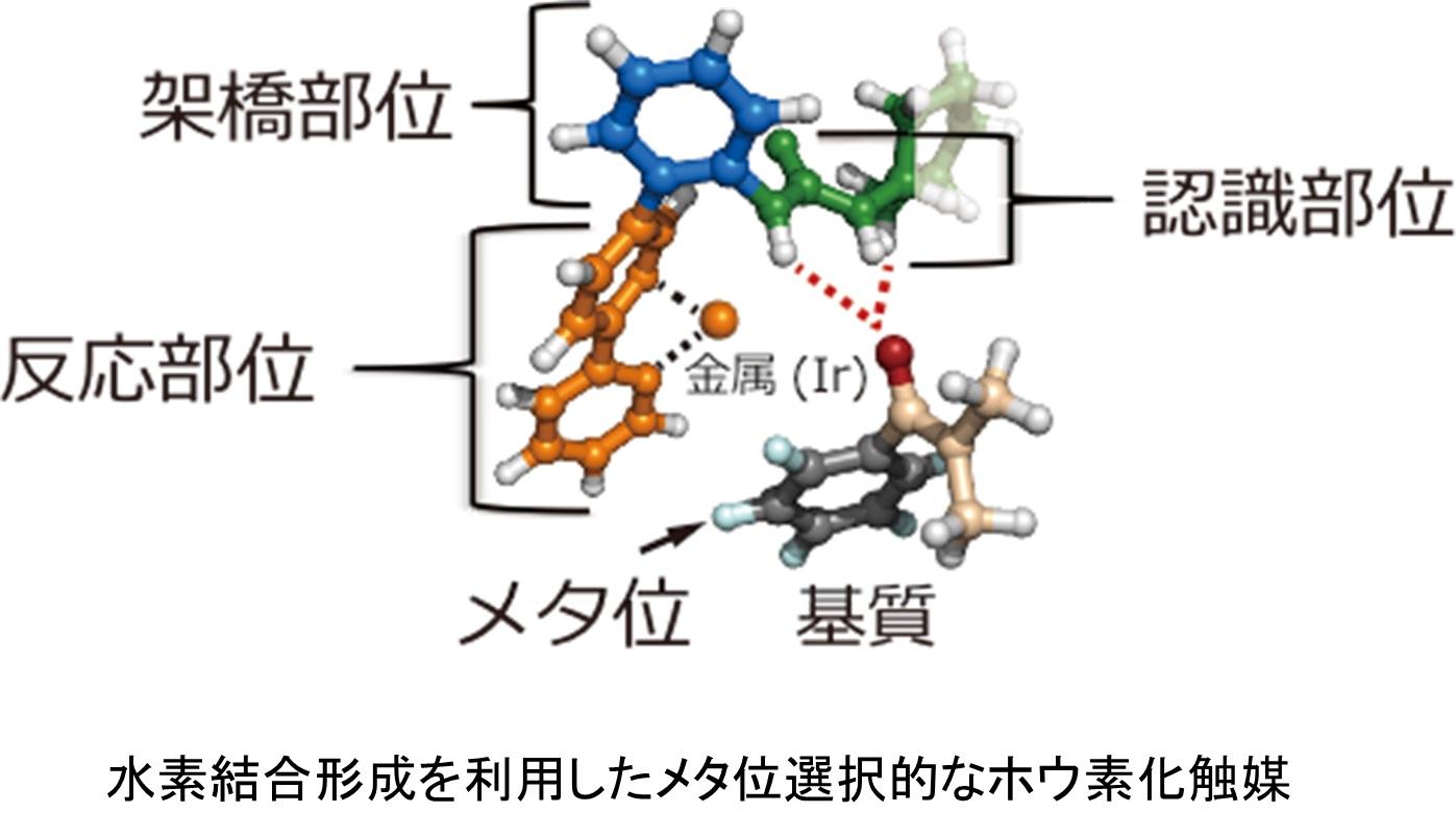 fig2