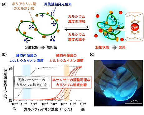 fig6