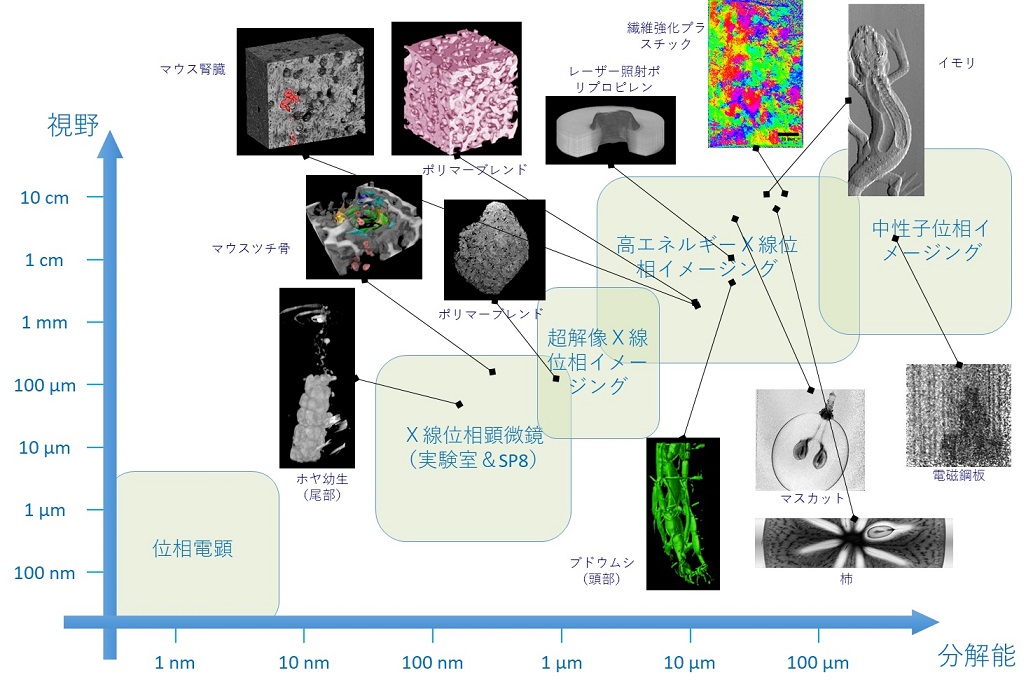 fig2