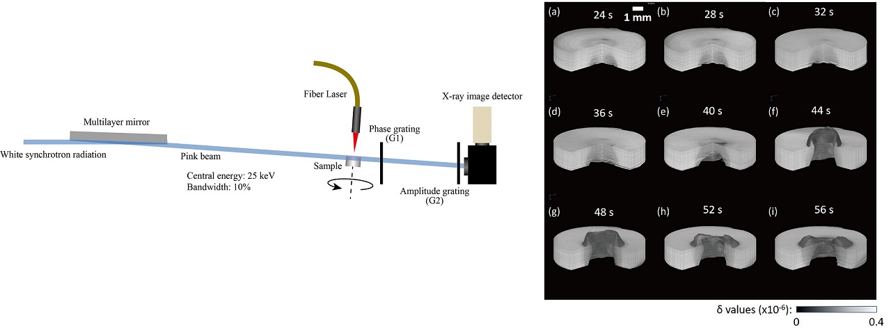 fig3