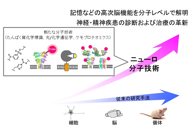 fig1