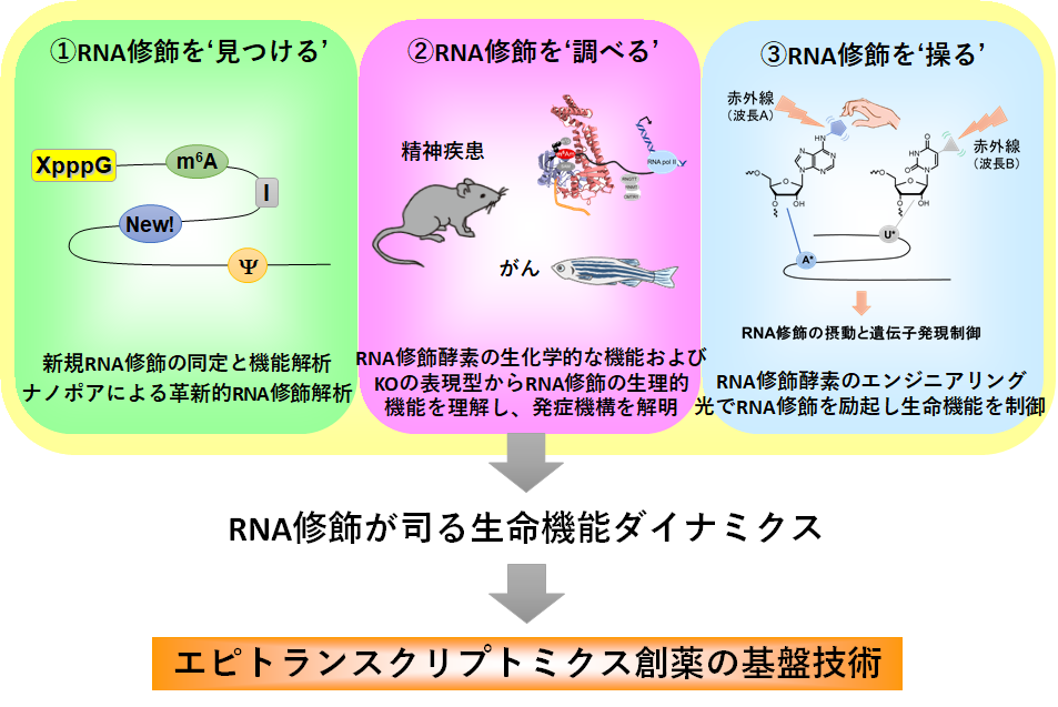 fig1