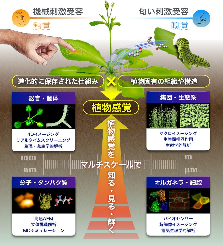 fig1