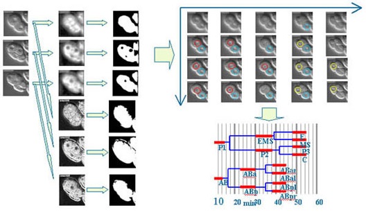 fig2