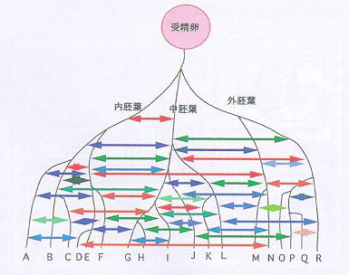 fig1