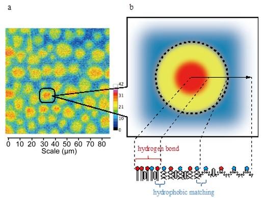 fig3