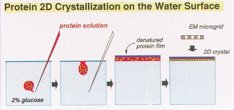 fig2