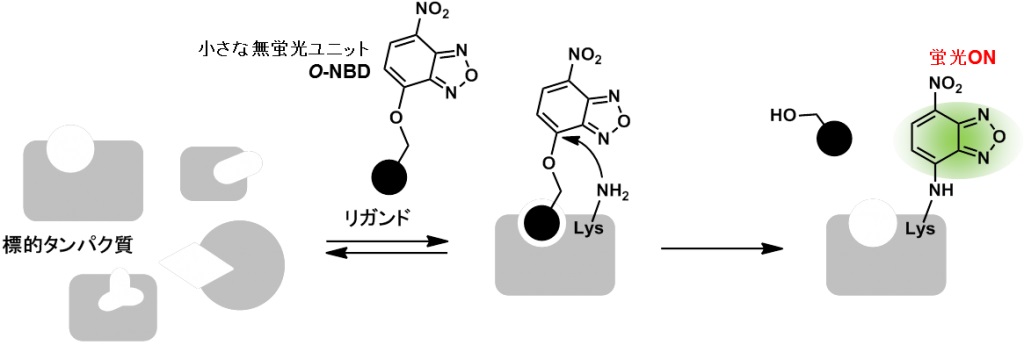 fig4