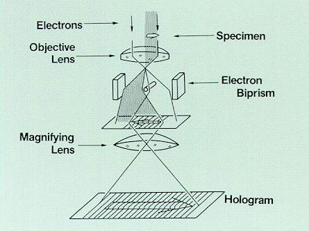 fig1