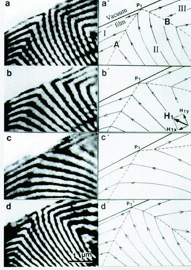 fig3