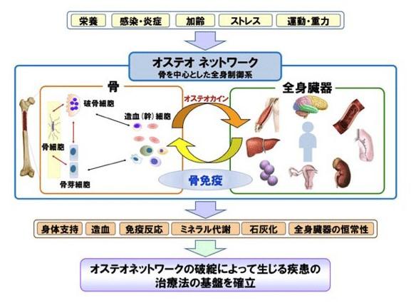 fig1