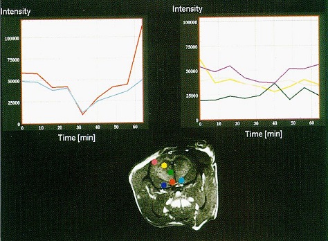 fig2