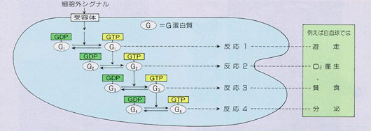 fig1